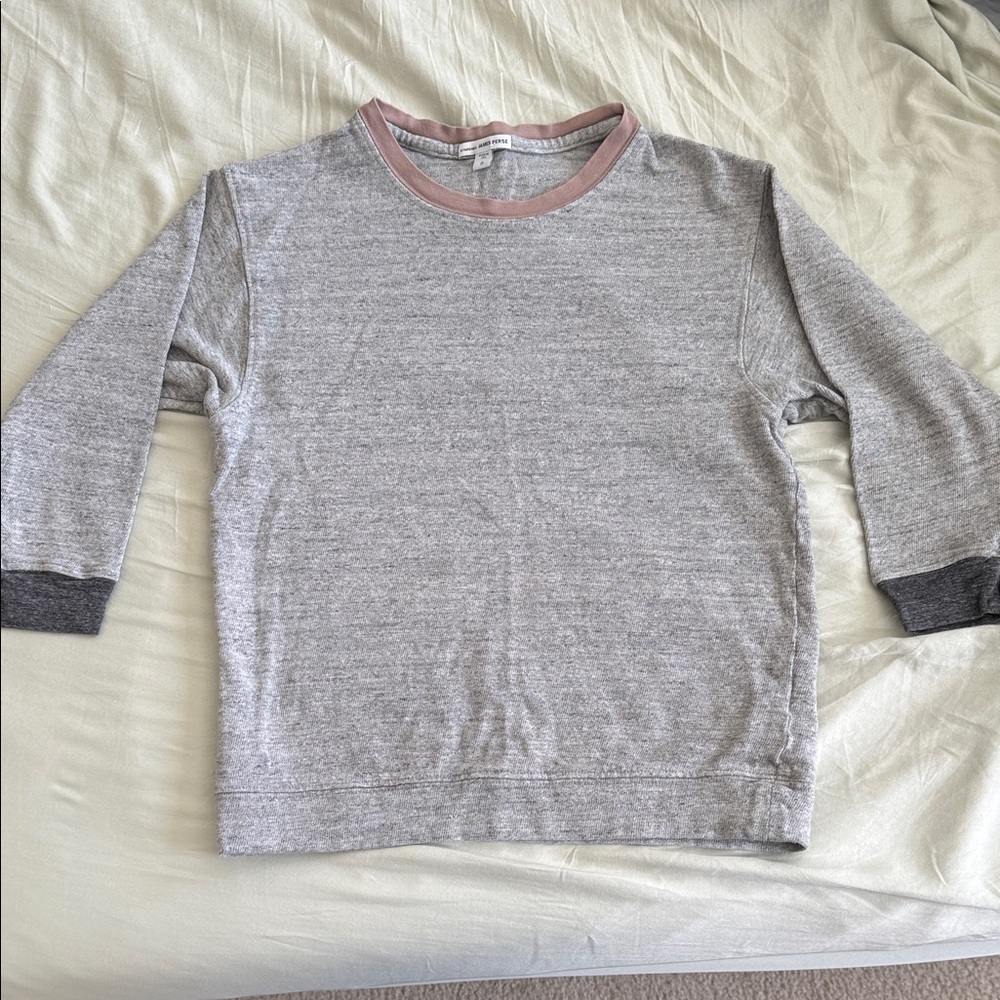 James Perse Cropped Sweatshirt